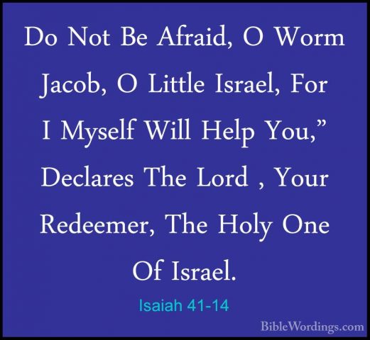 Isaiah 41-14 - Do Not Be Afraid, O Worm Jacob, O Little Israel, FDo Not Be Afraid, O Worm Jacob, O Little Israel, For I Myself Will Help You," Declares The Lord , Your Redeemer, The Holy One Of Israel. 