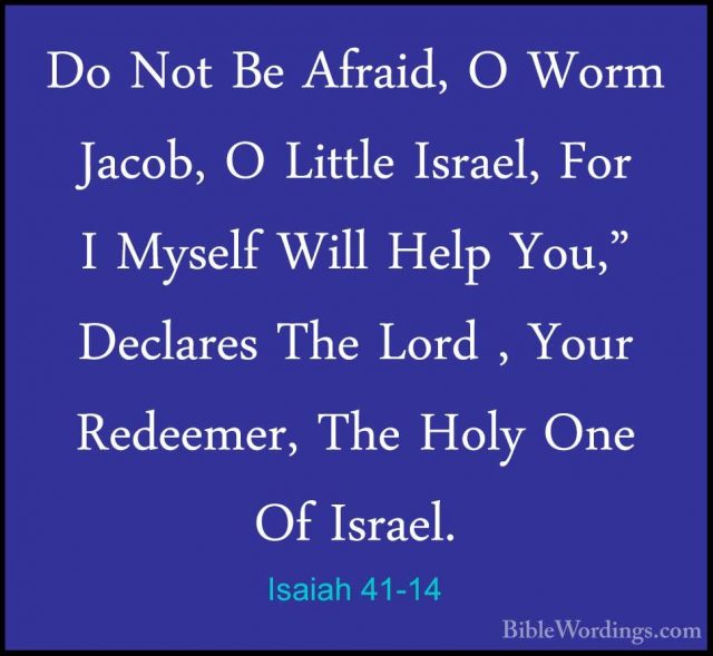 Isaiah 41 - Holy Bible English - BibleWordings.com