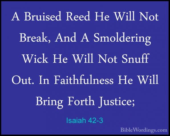 Isaiah 42-3 - A Bruised Reed He Will Not Break, And A SmolderingA Bruised Reed He Will Not Break, And A Smoldering Wick He Will Not Snuff Out. In Faithfulness He Will Bring Forth Justice; 