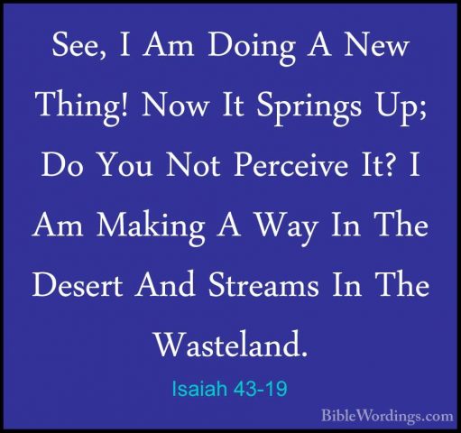 Isaiah 43-19 - See, I Am Doing A New Thing! Now It Springs Up; DoSee, I Am Doing A New Thing! Now It Springs Up; Do You Not Perceive It? I Am Making A Way In The Desert And Streams In The Wasteland. 