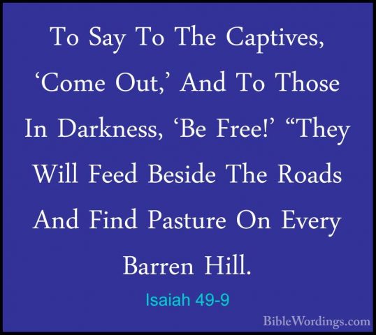 Isaiah 49-9 - To Say To The Captives, 'Come Out,' And To Those InTo Say To The Captives, 'Come Out,' And To Those In Darkness, 'Be Free!' "They Will Feed Beside The Roads And Find Pasture On Every Barren Hill. 