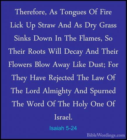Isaiah 5-24 - Therefore, As Tongues Of Fire Lick Up Straw And AsTherefore, As Tongues Of Fire Lick Up Straw And As Dry Grass Sinks Down In The Flames, So Their Roots Will Decay And Their Flowers Blow Away Like Dust; For They Have Rejected The Law Of The Lord Almighty And Spurned The Word Of The Holy One Of Israel. 