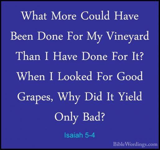 Isaiah 5-4 - What More Could Have Been Done For My Vineyard ThanWhat More Could Have Been Done For My Vineyard Than I Have Done For It? When I Looked For Good Grapes, Why Did It Yield Only Bad? 