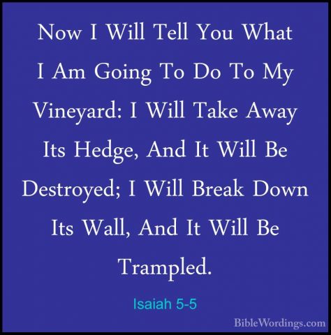 Isaiah 5-5 - Now I Will Tell You What I Am Going To Do To My VineNow I Will Tell You What I Am Going To Do To My Vineyard: I Will Take Away Its Hedge, And It Will Be Destroyed; I Will Break Down Its Wall, And It Will Be Trampled. 