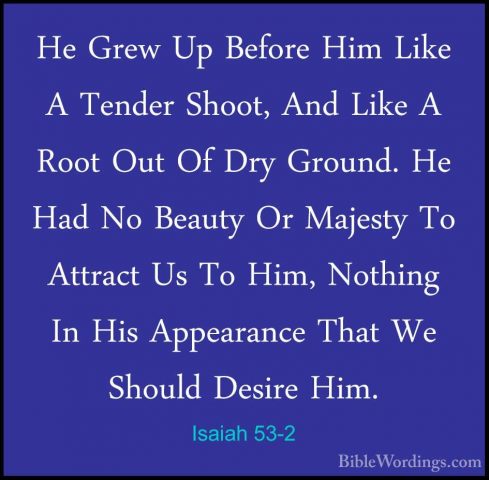 Isaiah 53-2 - He Grew Up Before Him Like A Tender Shoot, And LikeHe Grew Up Before Him Like A Tender Shoot, And Like A Root Out Of Dry Ground. He Had No Beauty Or Majesty To Attract Us To Him, Nothing In His Appearance That We Should Desire Him. 