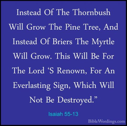 Isaiah 55-13 - Instead Of The Thornbush Will Grow The Pine Tree,Instead Of The Thornbush Will Grow The Pine Tree, And Instead Of Briers The Myrtle Will Grow. This Will Be For The Lord 'S Renown, For An Everlasting Sign, Which Will Not Be Destroyed."