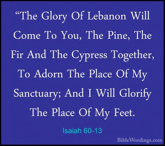 Isaiah 60-13 - "The Glory Of Lebanon Will Come To You, The Pine,"The Glory Of Lebanon Will Come To You, The Pine, The Fir And The Cypress Together, To Adorn The Place Of My Sanctuary; And I Will Glorify The Place Of My Feet. 
