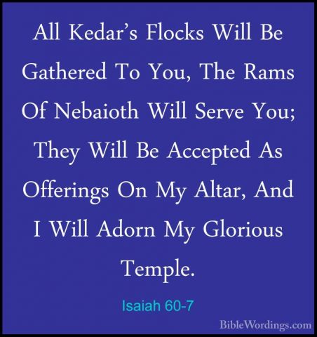 Isaiah 60-7 - All Kedar's Flocks Will Be Gathered To You, The RamAll Kedar's Flocks Will Be Gathered To You, The Rams Of Nebaioth Will Serve You; They Will Be Accepted As Offerings On My Altar, And I Will Adorn My Glorious Temple. 
