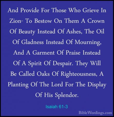 Isaiah 61-3 - And Provide For Those Who Grieve In Zion- To BestowAnd Provide For Those Who Grieve In Zion- To Bestow On Them A Crown Of Beauty Instead Of Ashes, The Oil Of Gladness Instead Of Mourning, And A Garment Of Praise Instead Of A Spirit Of Despair. They Will Be Called Oaks Of Righteousness, A Planting Of The Lord For The Display Of His Splendor. 