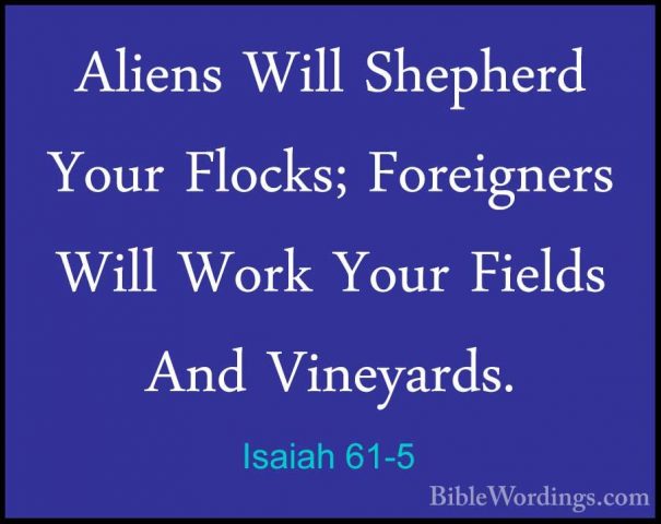 Isaiah 61-5 - Aliens Will Shepherd Your Flocks; Foreigners Will WAliens Will Shepherd Your Flocks; Foreigners Will Work Your Fields And Vineyards. 