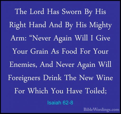 Isaiah 62-8 - The Lord Has Sworn By His Right Hand And By His MigThe Lord Has Sworn By His Right Hand And By His Mighty Arm: "Never Again Will I Give Your Grain As Food For Your Enemies, And Never Again Will Foreigners Drink The New Wine For Which You Have Toiled; 