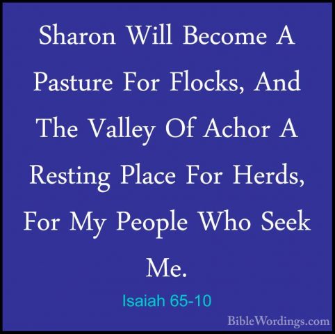 Isaiah 65-10 - Sharon Will Become A Pasture For Flocks, And The VSharon Will Become A Pasture For Flocks, And The Valley Of Achor A Resting Place For Herds, For My People Who Seek Me. 
