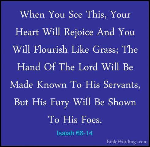 Isaiah 66-14 - When You See This, Your Heart Will Rejoice And YouWhen You See This, Your Heart Will Rejoice And You Will Flourish Like Grass; The Hand Of The Lord Will Be Made Known To His Servants, But His Fury Will Be Shown To His Foes. 