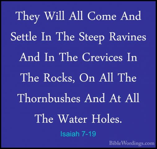 Isaiah 7-19 - They Will All Come And Settle In The Steep RavinesThey Will All Come And Settle In The Steep Ravines And In The Crevices In The Rocks, On All The Thornbushes And At All The Water Holes. 