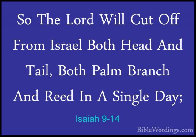 Isaiah 9-14 - So The Lord Will Cut Off From Israel Both Head AndSo The Lord Will Cut Off From Israel Both Head And Tail, Both Palm Branch And Reed In A Single Day; 