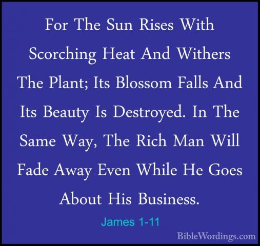 James 1-11 - For The Sun Rises With Scorching Heat And Withers ThFor The Sun Rises With Scorching Heat And Withers The Plant; Its Blossom Falls And Its Beauty Is Destroyed. In The Same Way, The Rich Man Will Fade Away Even While He Goes About His Business. 