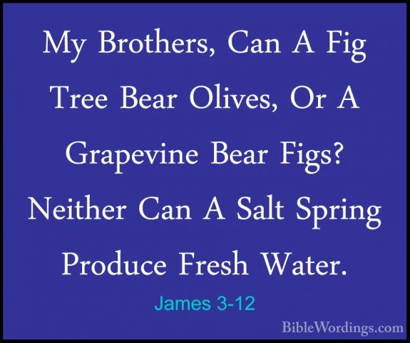 James 3-12 - My Brothers, Can A Fig Tree Bear Olives, Or A GrapevMy Brothers, Can A Fig Tree Bear Olives, Or A Grapevine Bear Figs? Neither Can A Salt Spring Produce Fresh Water. 