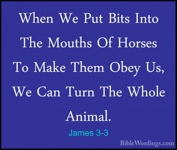 James 3-3 - When We Put Bits Into The Mouths Of Horses To Make ThWhen We Put Bits Into The Mouths Of Horses To Make Them Obey Us, We Can Turn The Whole Animal. 