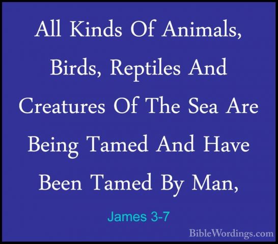 James 3-7 - All Kinds Of Animals, Birds, Reptiles And Creatures OAll Kinds Of Animals, Birds, Reptiles And Creatures Of The Sea Are Being Tamed And Have Been Tamed By Man, 