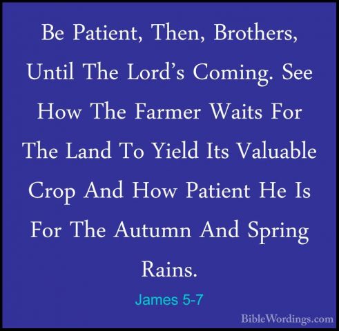 James 5-7 - Be Patient, Then, Brothers, Until The Lord's Coming.Be Patient, Then, Brothers, Until The Lord's Coming. See How The Farmer Waits For The Land To Yield Its Valuable Crop And How Patient He Is For The Autumn And Spring Rains. 