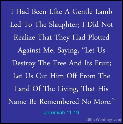 Jeremiah 11-19 - I Had Been Like A Gentle Lamb Led To The SlaughtI Had Been Like A Gentle Lamb Led To The Slaughter; I Did Not Realize That They Had Plotted Against Me, Saying, "Let Us Destroy The Tree And Its Fruit; Let Us Cut Him Off From The Land Of The Living, That His Name Be Remembered No More." 