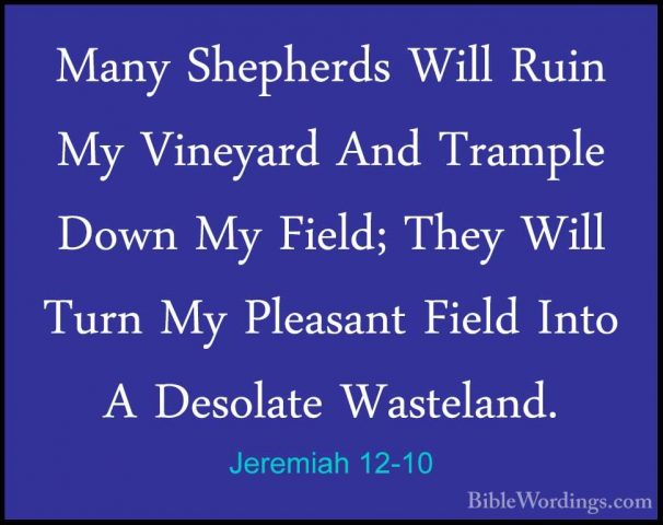 Jeremiah 12-10 - Many Shepherds Will Ruin My Vineyard And TrampleMany Shepherds Will Ruin My Vineyard And Trample Down My Field; They Will Turn My Pleasant Field Into A Desolate Wasteland. 