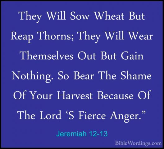Jeremiah 12-13 - They Will Sow Wheat But Reap Thorns; They Will WThey Will Sow Wheat But Reap Thorns; They Will Wear Themselves Out But Gain Nothing. So Bear The Shame Of Your Harvest Because Of The Lord 'S Fierce Anger." 