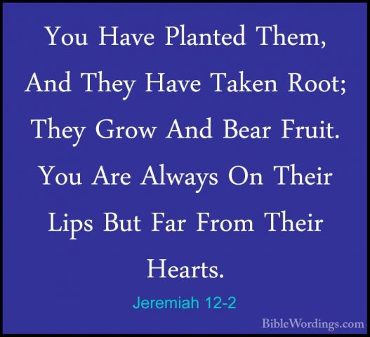 Jeremiah 12-2 - You Have Planted Them, And They Have Taken Root;You Have Planted Them, And They Have Taken Root; They Grow And Bear Fruit. You Are Always On Their Lips But Far From Their Hearts. 
