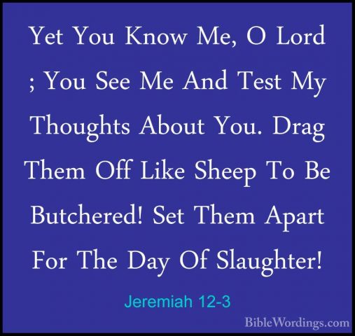 Jeremiah 12-3 - Yet You Know Me, O Lord ; You See Me And Test MyYet You Know Me, O Lord ; You See Me And Test My Thoughts About You. Drag Them Off Like Sheep To Be Butchered! Set Them Apart For The Day Of Slaughter! 
