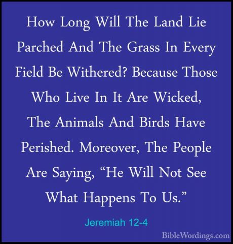 Jeremiah 12-4 - How Long Will The Land Lie Parched And The GrassHow Long Will The Land Lie Parched And The Grass In Every Field Be Withered? Because Those Who Live In It Are Wicked, The Animals And Birds Have Perished. Moreover, The People Are Saying, "He Will Not See What Happens To Us." 
