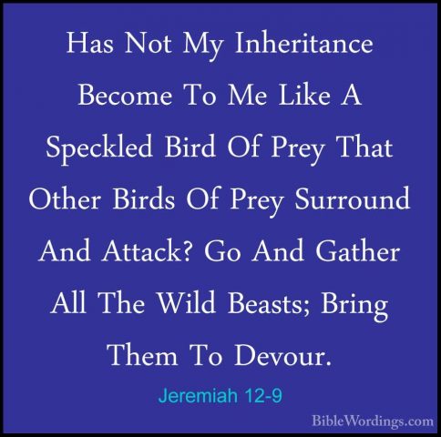 Jeremiah 12-9 - Has Not My Inheritance Become To Me Like A SpecklHas Not My Inheritance Become To Me Like A Speckled Bird Of Prey That Other Birds Of Prey Surround And Attack? Go And Gather All The Wild Beasts; Bring Them To Devour. 