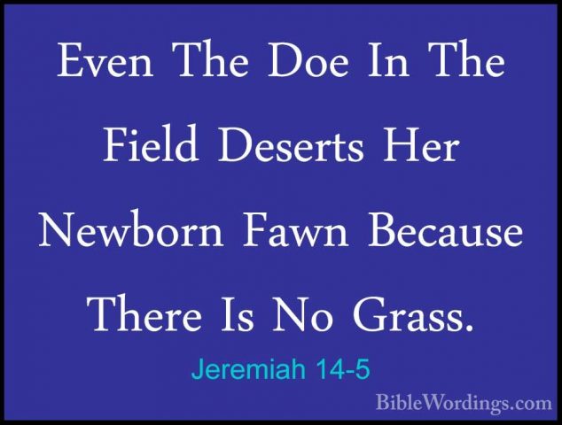 Jeremiah 14-5 - Even The Doe In The Field Deserts Her Newborn FawEven The Doe In The Field Deserts Her Newborn Fawn Because There Is No Grass. 