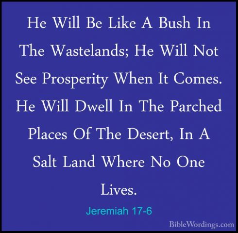 Jeremiah 17-6 - He Will Be Like A Bush In The Wastelands; He WillHe Will Be Like A Bush In The Wastelands; He Will Not See Prosperity When It Comes. He Will Dwell In The Parched Places Of The Desert, In A Salt Land Where No One Lives. 