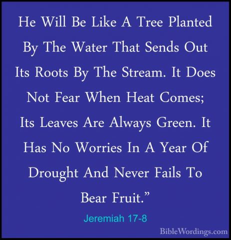Jeremiah 17-8 - He Will Be Like A Tree Planted By The Water ThatHe Will Be Like A Tree Planted By The Water That Sends Out Its Roots By The Stream. It Does Not Fear When Heat Comes; Its Leaves Are Always Green. It Has No Worries In A Year Of Drought And Never Fails To Bear Fruit." 