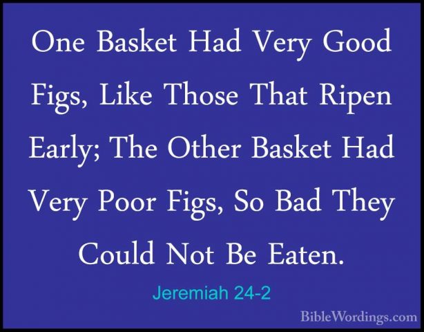 Jeremiah 24-2 - One Basket Had Very Good Figs, Like Those That RiOne Basket Had Very Good Figs, Like Those That Ripen Early; The Other Basket Had Very Poor Figs, So Bad They Could Not Be Eaten. 