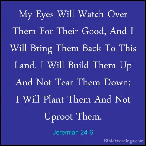 Jeremiah 24-6 - My Eyes Will Watch Over Them For Their Good, AndMy Eyes Will Watch Over Them For Their Good, And I Will Bring Them Back To This Land. I Will Build Them Up And Not Tear Them Down; I Will Plant Them And Not Uproot Them. 