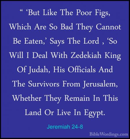 Jeremiah 24-8 - " 'But Like The Poor Figs, Which Are So Bad They" 'But Like The Poor Figs, Which Are So Bad They Cannot Be Eaten,' Says The Lord , 'So Will I Deal With Zedekiah King Of Judah, His Officials And The Survivors From Jerusalem, Whether They Remain In This Land Or Live In Egypt. 
