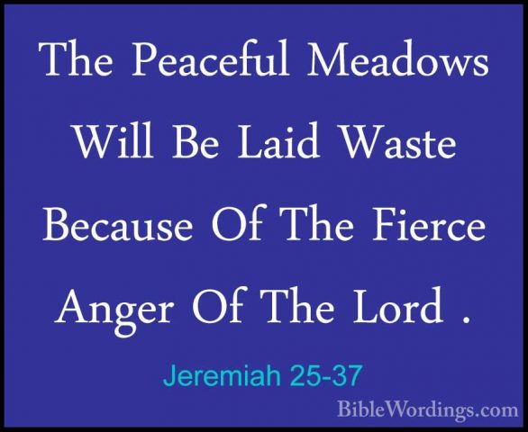 Jeremiah 25-37 - The Peaceful Meadows Will Be Laid Waste BecauseThe Peaceful Meadows Will Be Laid Waste Because Of The Fierce Anger Of The Lord . 