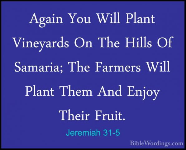 Jeremiah 31-5 - Again You Will Plant Vineyards On The Hills Of SaAgain You Will Plant Vineyards On The Hills Of Samaria; The Farmers Will Plant Them And Enjoy Their Fruit. 