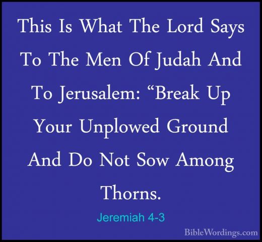 Jeremiah 4-3 - This Is What The Lord Says To The Men Of Judah AndThis Is What The Lord Says To The Men Of Judah And To Jerusalem: "Break Up Your Unplowed Ground And Do Not Sow Among Thorns. 