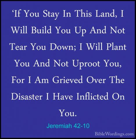 Jeremiah 42-10 - 'If You Stay In This Land, I Will Build You Up A'If You Stay In This Land, I Will Build You Up And Not Tear You Down; I Will Plant You And Not Uproot You, For I Am Grieved Over The Disaster I Have Inflicted On You. 