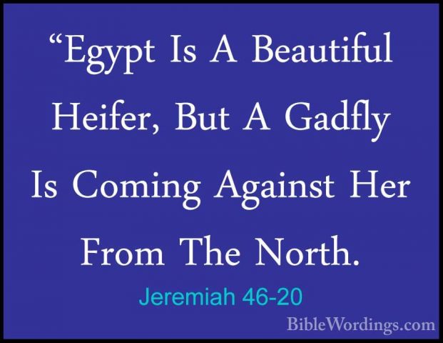 Jeremiah 46-20 - "Egypt Is A Beautiful Heifer, But A Gadfly Is Co"Egypt Is A Beautiful Heifer, But A Gadfly Is Coming Against Her From The North. 