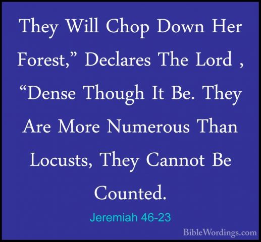 Jeremiah 46-23 - They Will Chop Down Her Forest," Declares The LoThey Will Chop Down Her Forest," Declares The Lord , "Dense Though It Be. They Are More Numerous Than Locusts, They Cannot Be Counted. 