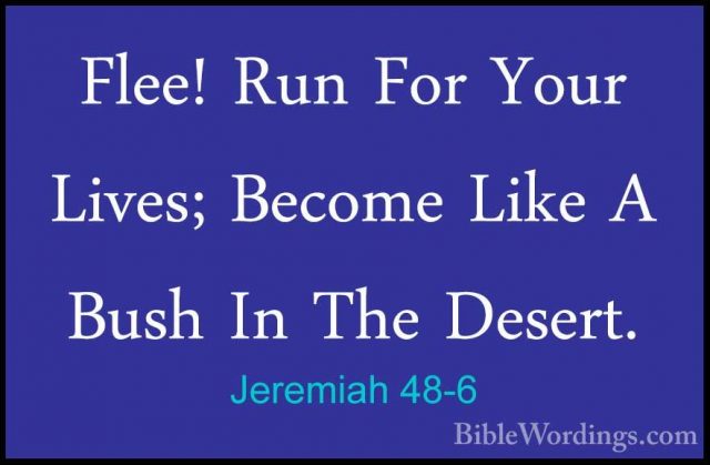 Jeremiah 48-6 - Flee! Run For Your Lives; Become Like A Bush In TFlee! Run For Your Lives; Become Like A Bush In The Desert. 