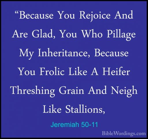 Jeremiah 50-11 - "Because You Rejoice And Are Glad, You Who Pilla"Because You Rejoice And Are Glad, You Who Pillage My Inheritance, Because You Frolic Like A Heifer Threshing Grain And Neigh Like Stallions, 