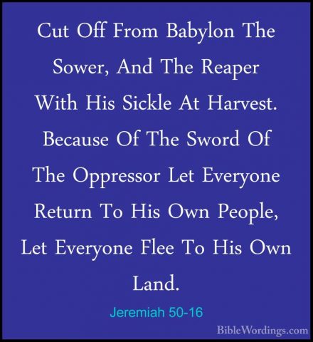 Jeremiah 50-16 - Cut Off From Babylon The Sower, And The Reaper WCut Off From Babylon The Sower, And The Reaper With His Sickle At Harvest. Because Of The Sword Of The Oppressor Let Everyone Return To His Own People, Let Everyone Flee To His Own Land. 
