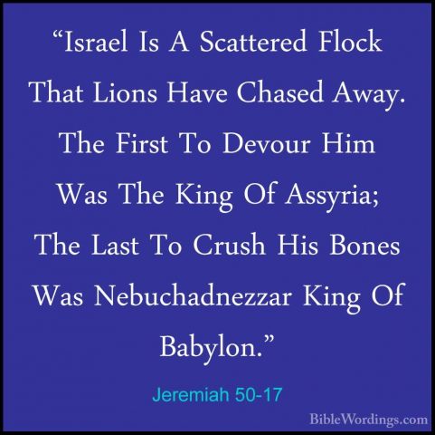 Jeremiah 50-17 - "Israel Is A Scattered Flock That Lions Have Cha"Israel Is A Scattered Flock That Lions Have Chased Away. The First To Devour Him Was The King Of Assyria; The Last To Crush His Bones Was Nebuchadnezzar King Of Babylon." 