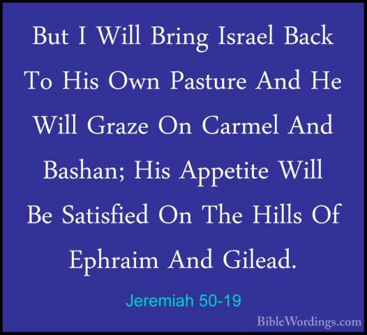 Jeremiah 50-19 - But I Will Bring Israel Back To His Own PastureBut I Will Bring Israel Back To His Own Pasture And He Will Graze On Carmel And Bashan; His Appetite Will Be Satisfied On The Hills Of Ephraim And Gilead. 
