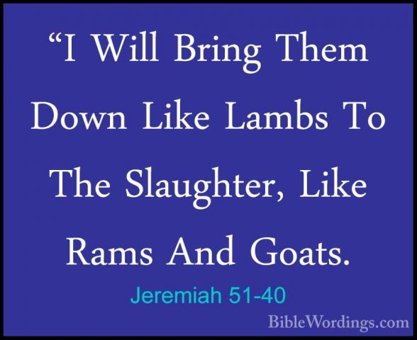 Jeremiah 51-40 - "I Will Bring Them Down Like Lambs To The Slaugh"I Will Bring Them Down Like Lambs To The Slaughter, Like Rams And Goats. 