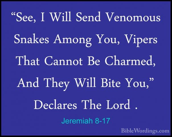 Jeremiah 8-17 - "See, I Will Send Venomous Snakes Among You, Vipe"See, I Will Send Venomous Snakes Among You, Vipers That Cannot Be Charmed, And They Will Bite You," Declares The Lord . 